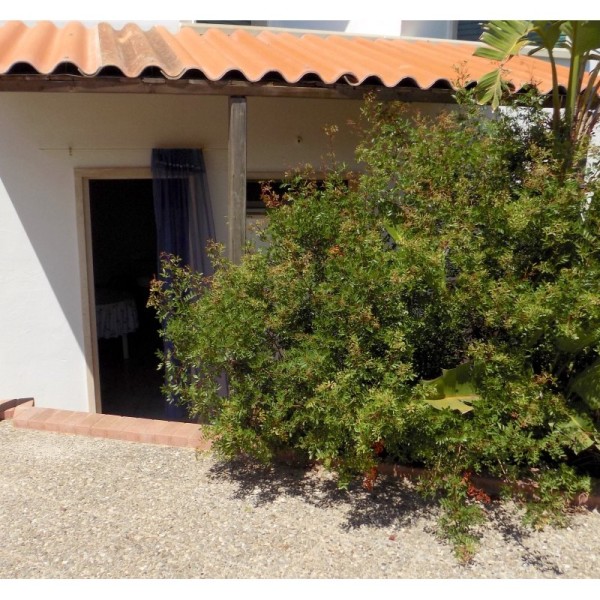 Monolocale con giardino a due passi dal mare — foto 10