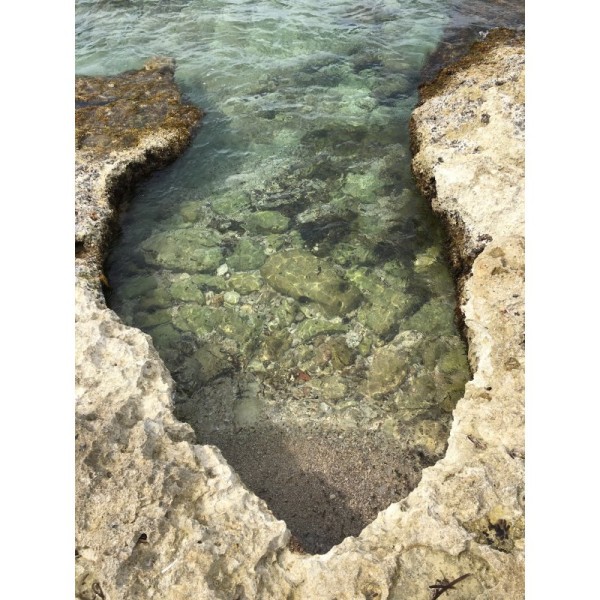 Monolocale con giardino a due passi dal mare — foto 28