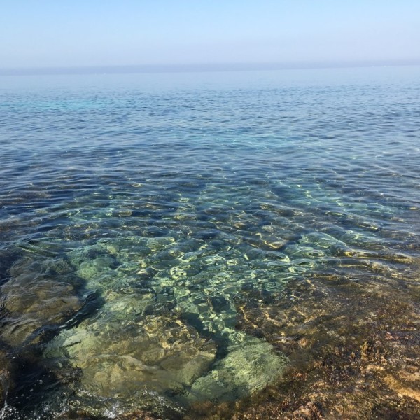 Monolocale con giardino a due passi dal mare — foto 26