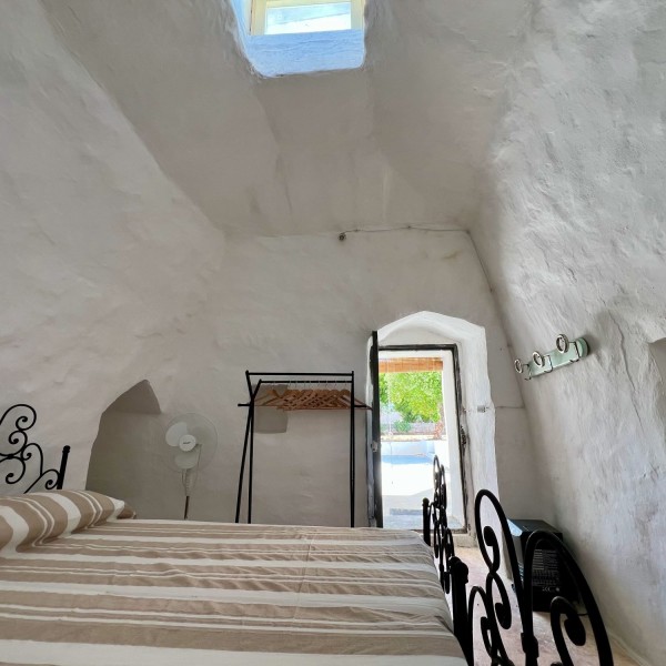 Caseddhu Venneri — foto 27