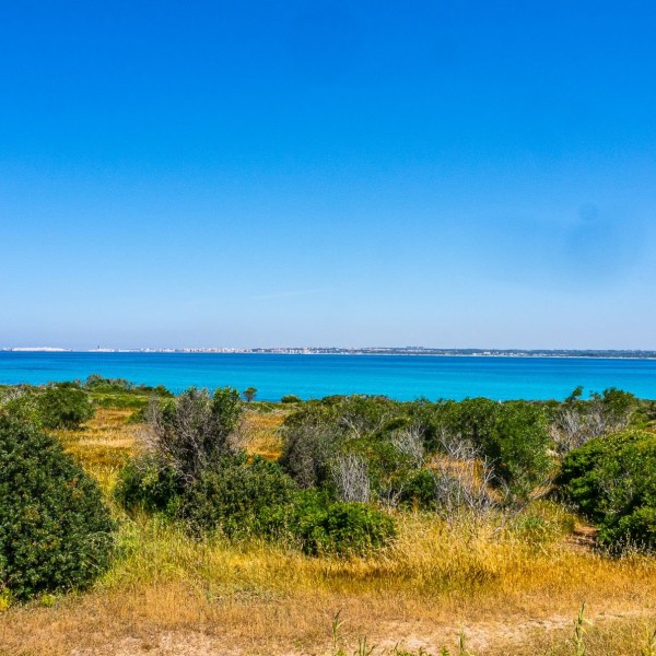 Masseria Pizzo App 13 — foto 5