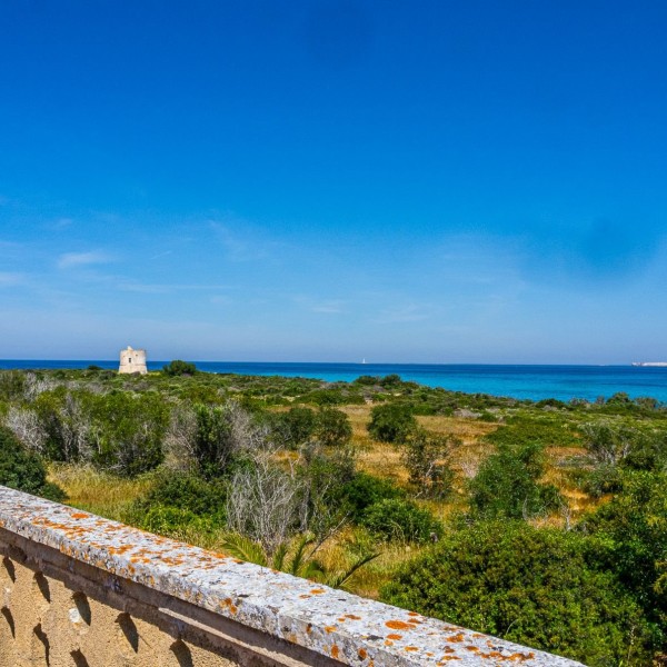 Masseria Pizzo App 13 — foto 3