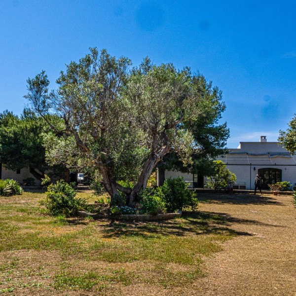Masseria Pizzo App 13 — foto 9