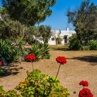 Masseria Pizzo App 16