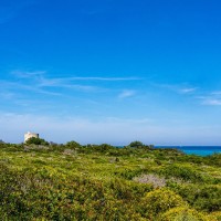 Masseria Pizzo Mono 15