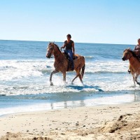 Salento Equi Club