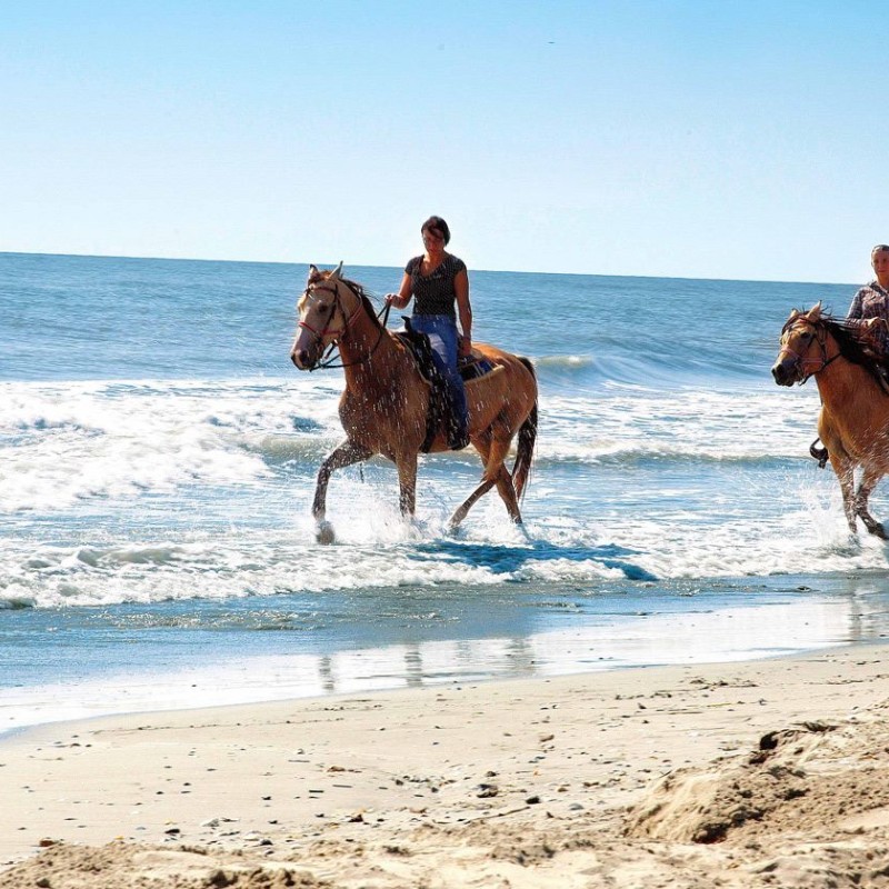 Salento Equi Club