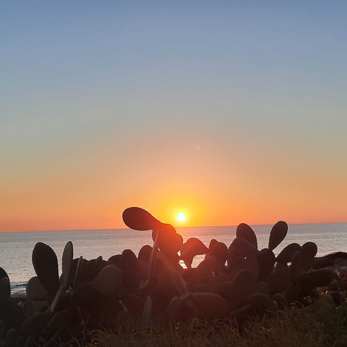 Profondo Salento