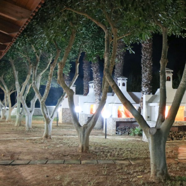 Tenuta Bene - bilo 1250 — foto 7