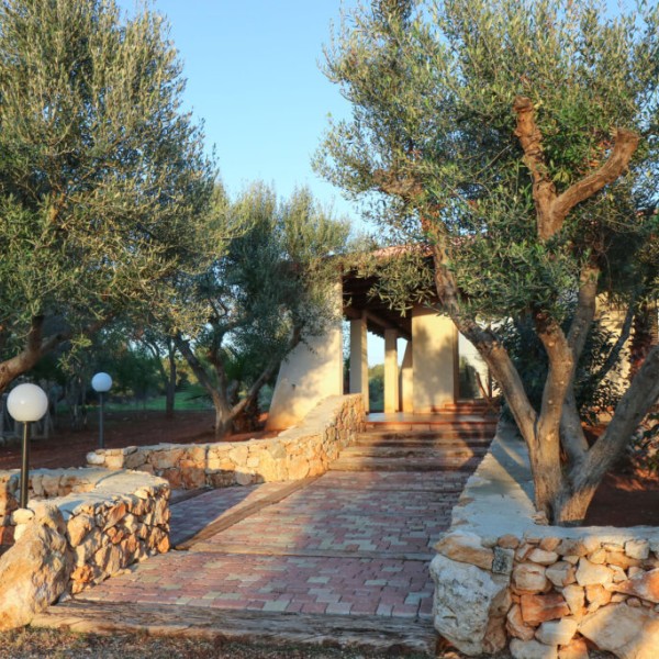 Tenuta Bene - villa 1207 — foto 6