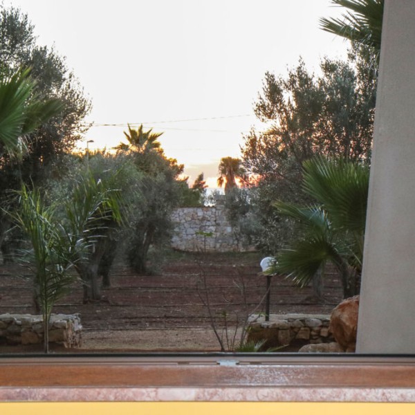 Tenuta Bene - villa 1207 — foto 20
